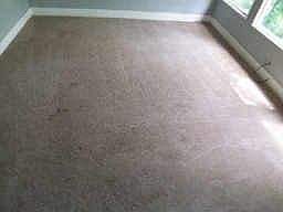 1st image of 825 Parkview Ave
