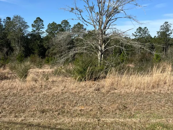 Long Vue Dr Lot 59, Picayune, MS 39466