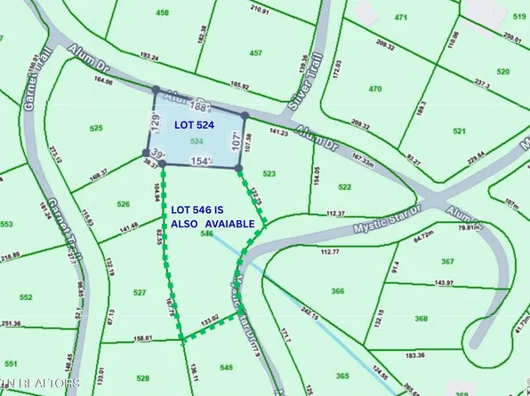 Alum Dr Lot 524, New Tazewell, TN 37825