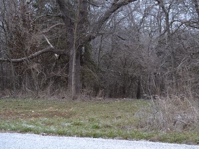 000 E 407th, Bolivar, MO, 65613