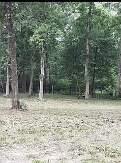 3rd image of 12834 Mustang Rd