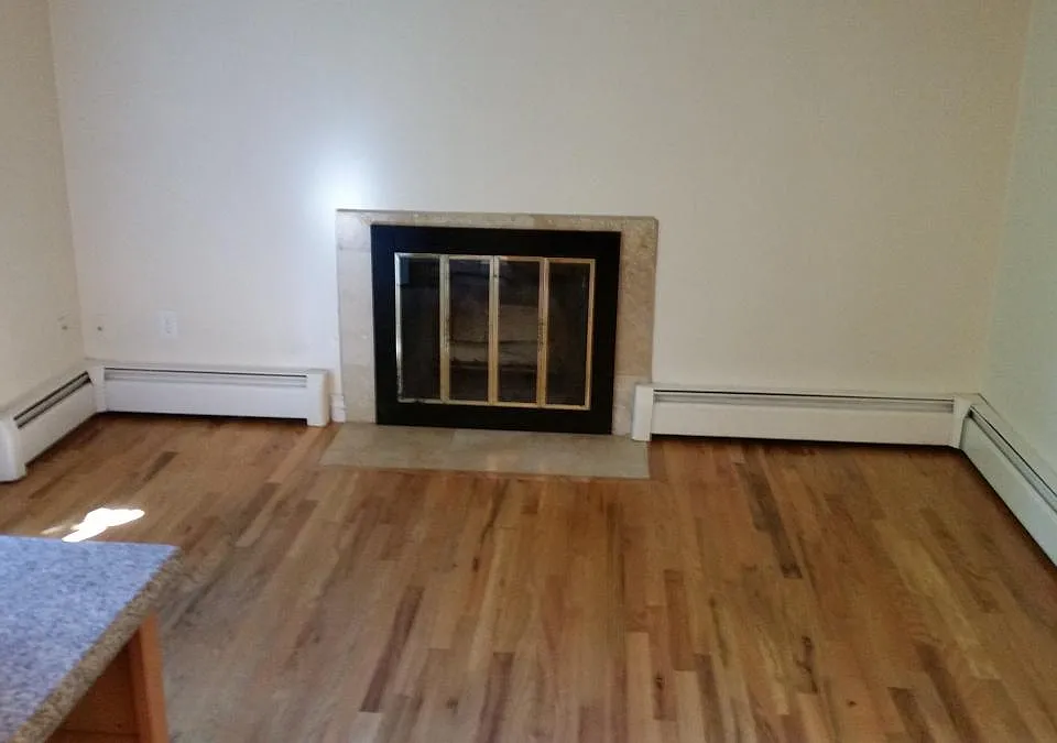Living room with fireplace