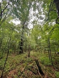 5th image of Lowencamp Ln