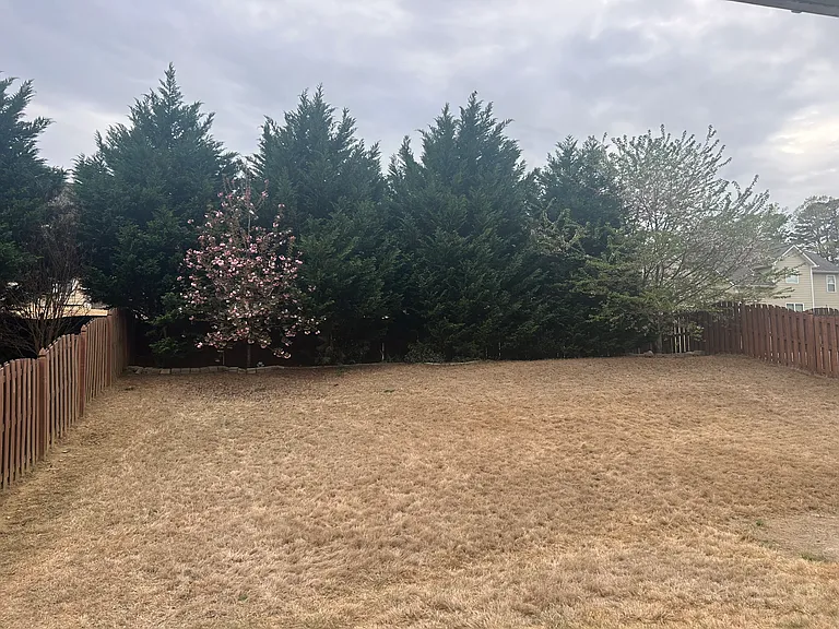 Large fenced in backyard