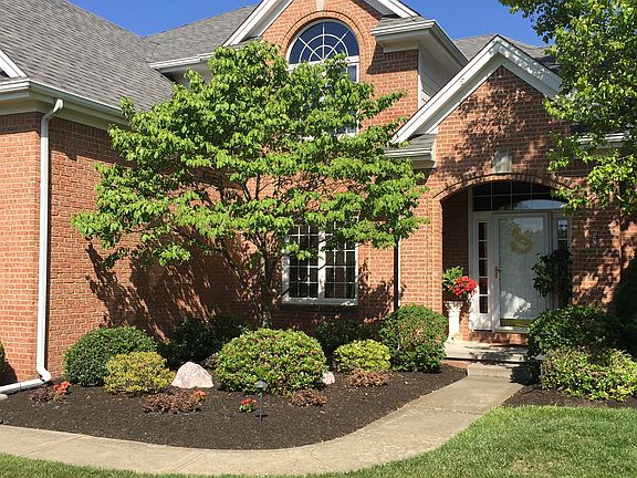 3rd image of 2923 Back Bay Dr