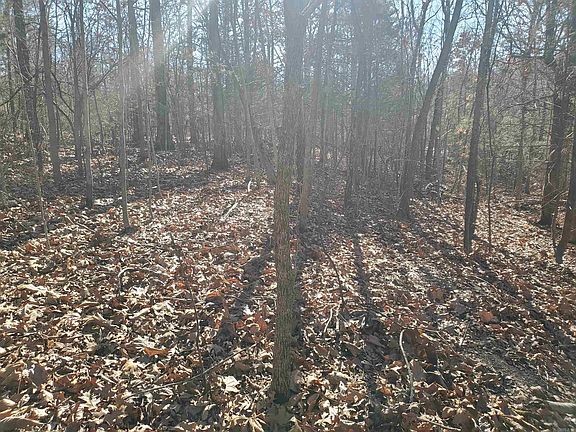 4th image of 15776 Highway 74 E Tract 1