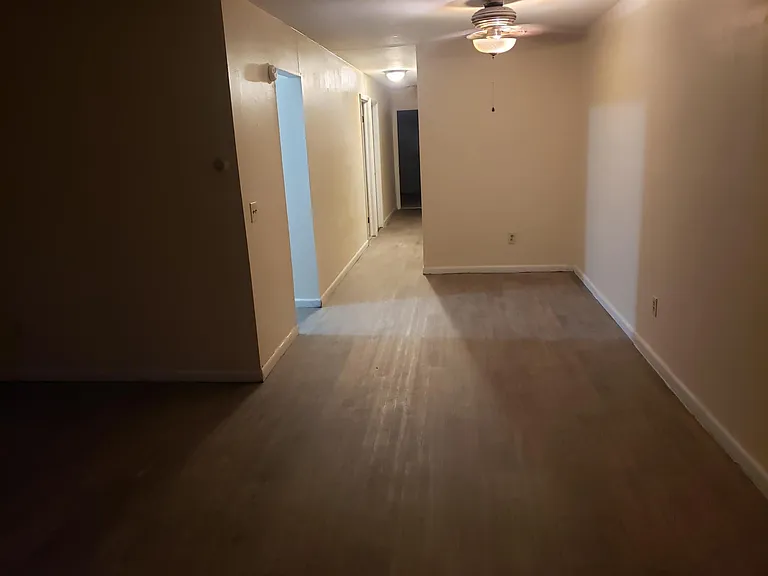 449 Canisteo St #301 — Photo 5