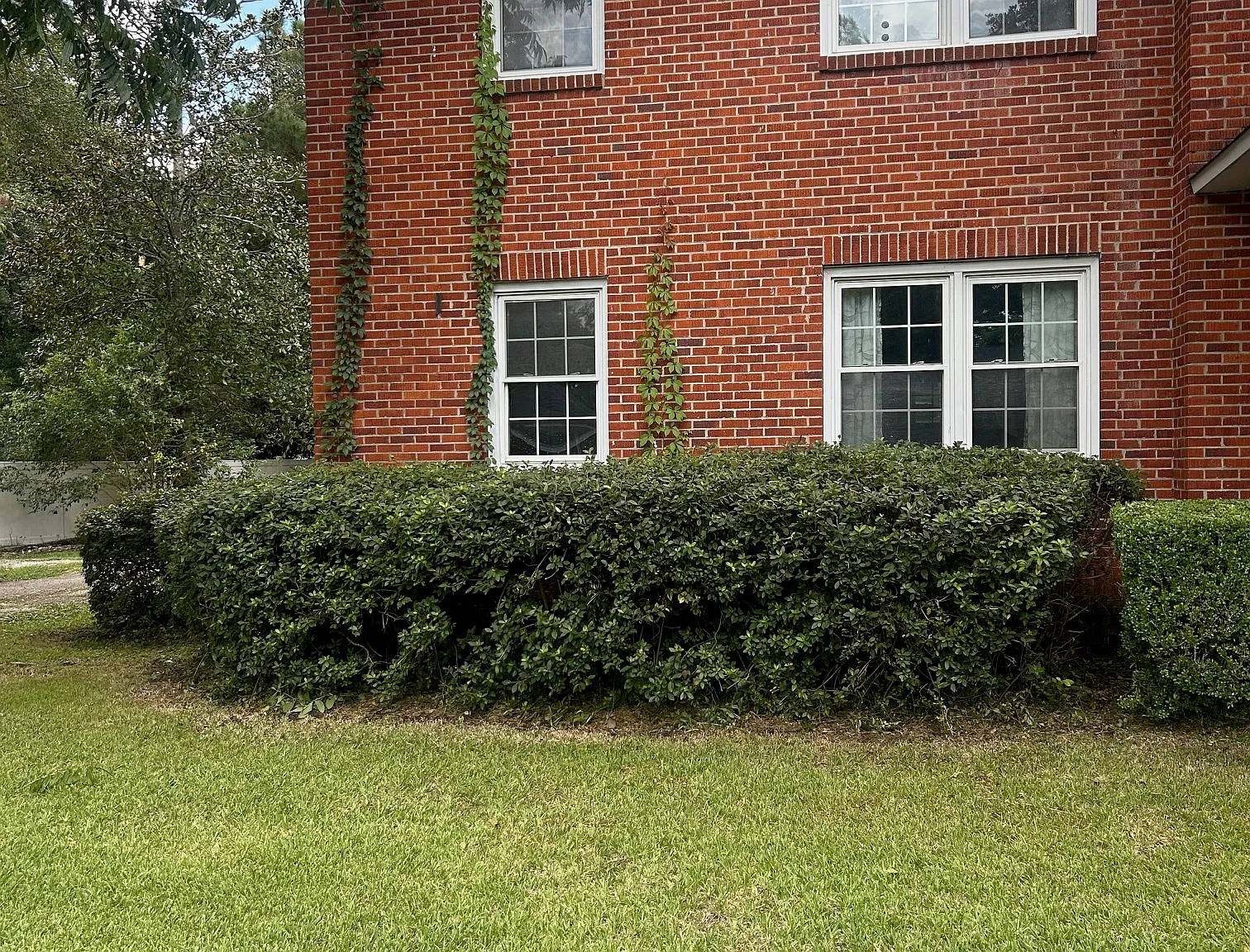 1404 8th Ave — Photo 3
