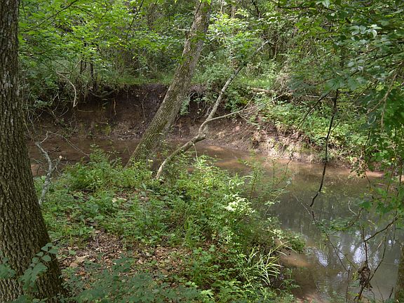 5th image of 9119 W Farm Rd 76