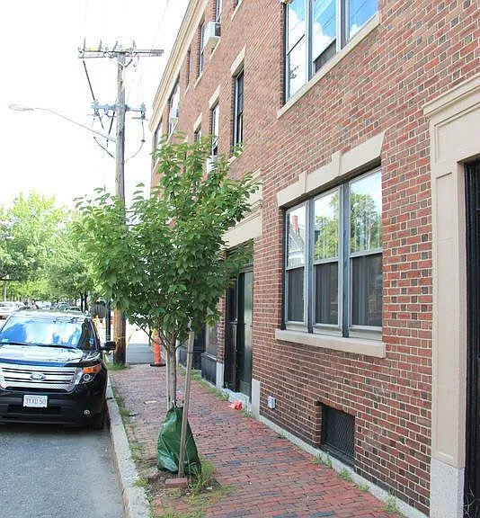 168 Norfolk St #1 — Photo 12