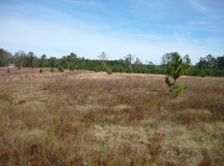 5 Acres Cir #209, Jack, AL 36346