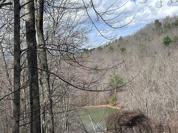 4th image of Tbd Pack Mountain Road