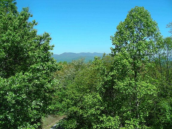 2nd image of 240 Alex Mountain Dr