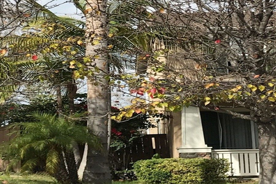 2nd image of 2217 Bliss Cir