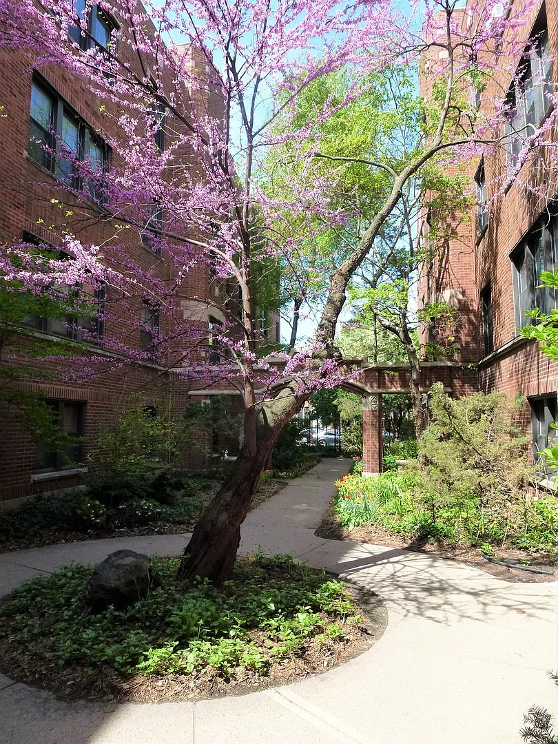 5465 S Ingleside Ave APT 3E photo 1
