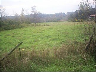 2nd image of 807 River Rd