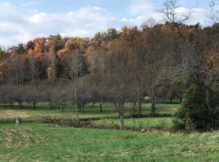 734 Canaan Valley, Suches, GA 30572