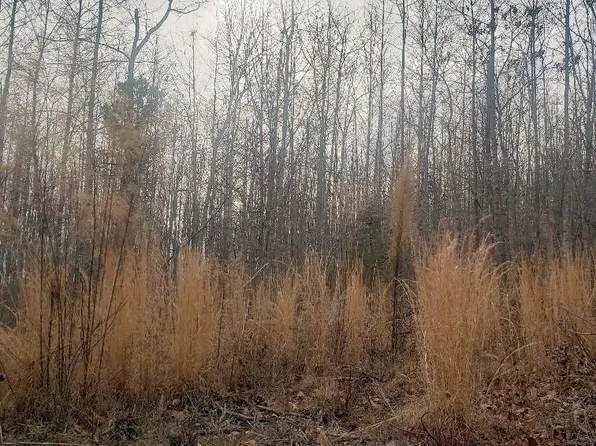 0 Mountain Creek Rd Lot 16, Green Bay, VA 23942