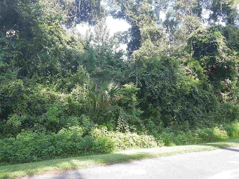 2nd image of 158 Egret Rd