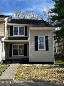 48 Laurel Rdg, Big Stone Gap, VA, 24219