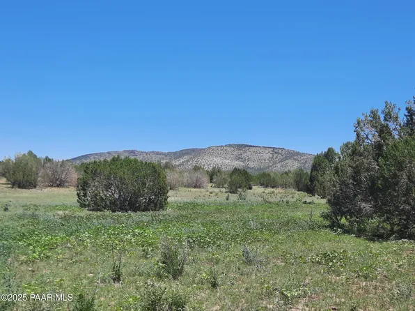 1316 N Anvil Rock Rd, Seligman, AZ 86337