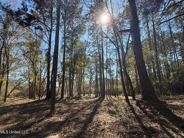 0 Pabst Rd, Ocean Springs, MS 39564