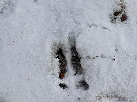 4th image of E Long Lake Rd #V/l