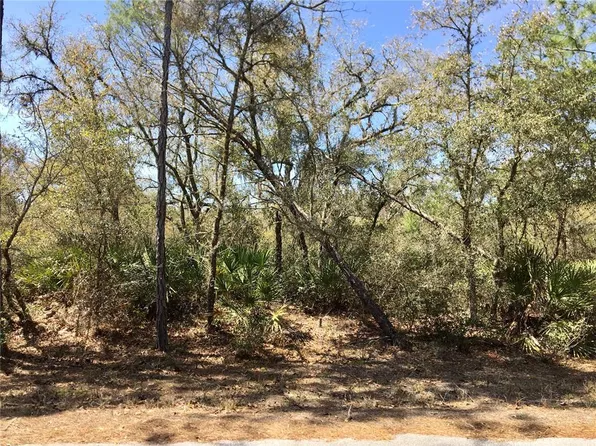 Fisher Way Trak Lot 21, Ocklawaha, FL 32179