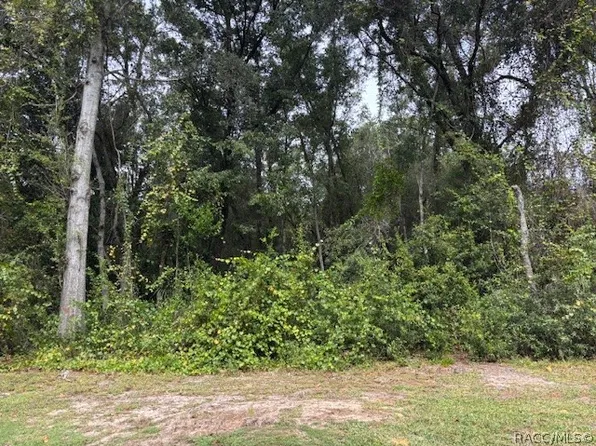 5727 W Meadowpark Ln, Crystal River, FL 34429