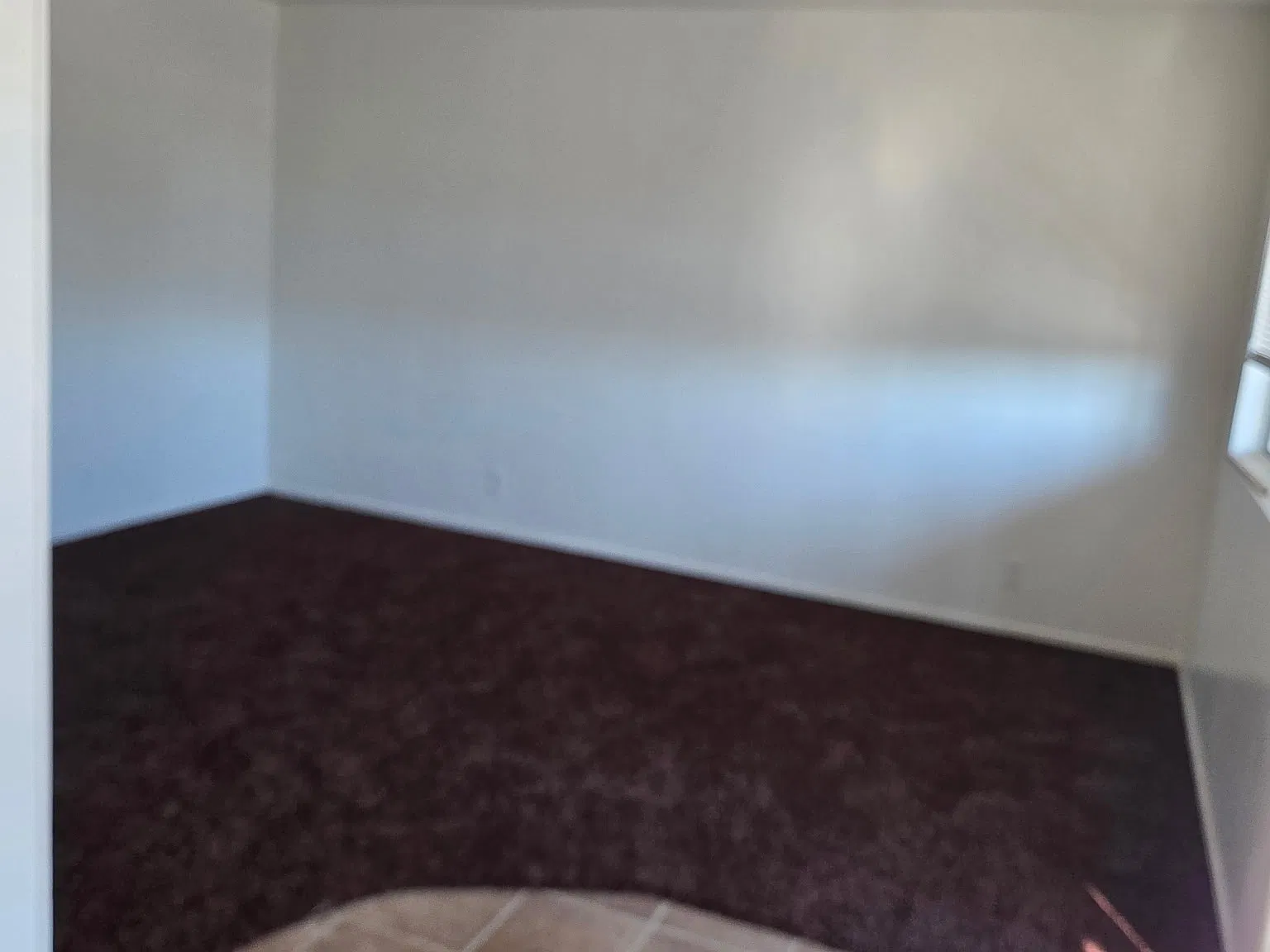 1 bed, $1,575 — Photo 4