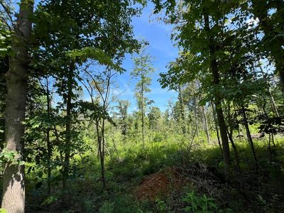 3772 E New Roe Rd, Adolphus, KY, 42120