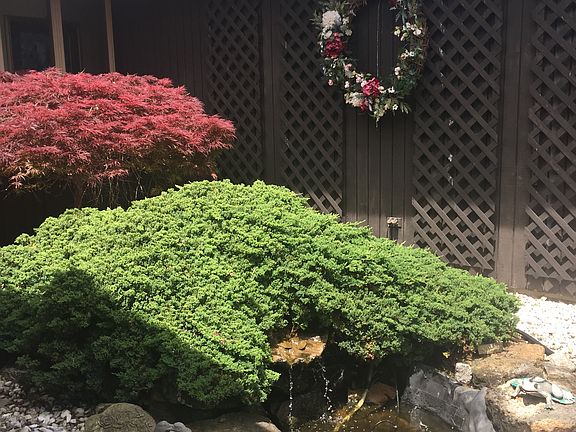 Courtyard & fish pond