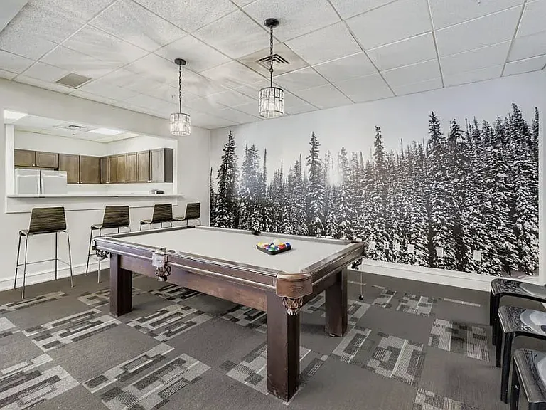 Party and lounge room