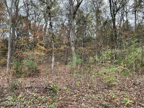 0 Channel Dr, Louisville, TN 37777