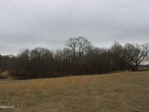 0 Byhalia Rd, Byhalia, MS 38611