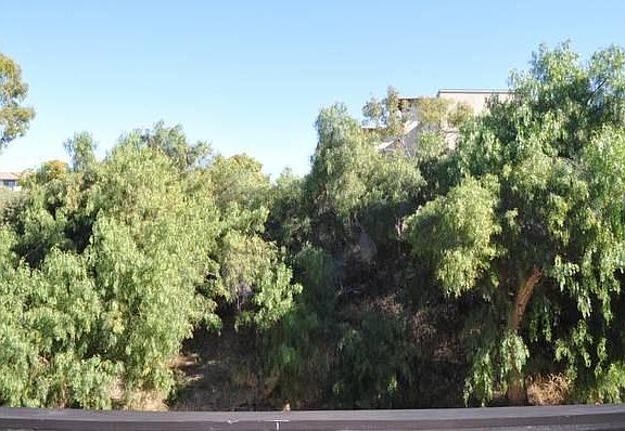 view off of back porch - like country living!