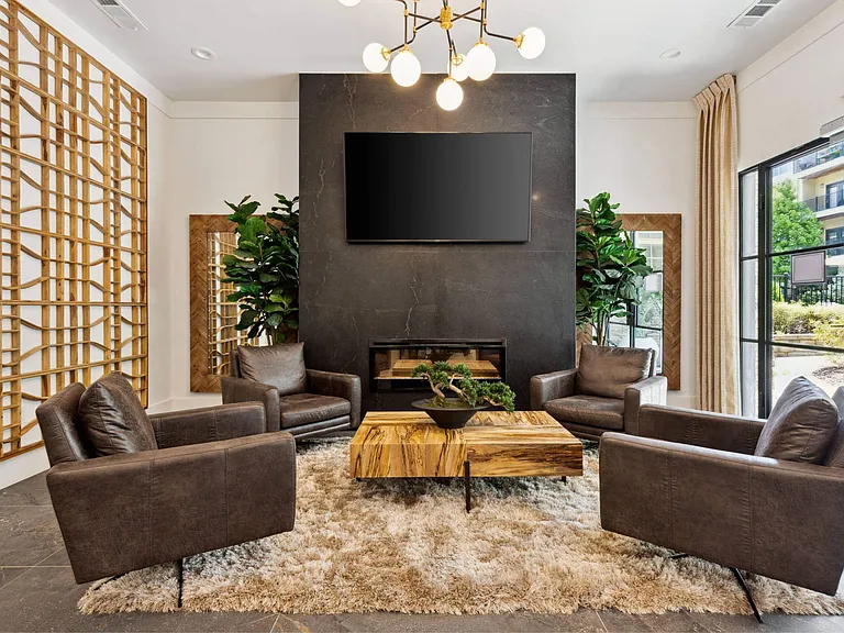 Verde Vista, Asheville, NC, Lounge