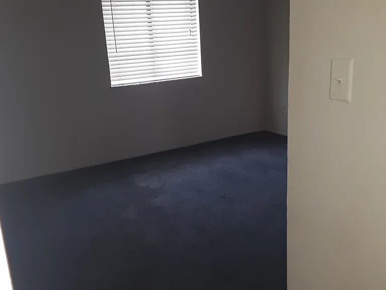 153 Springwood Cir #D — Photo 11