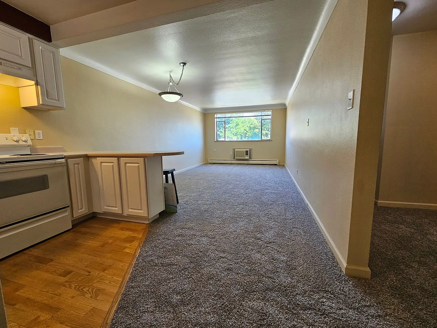 DU 1 Bed 1 Bath Condo Steps Away From Everything DU!! Available Now — Photo 3