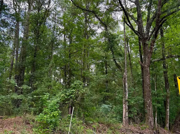 2194 Highway 570 E, Summit, MS 39666