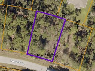 Hawksbill Avenue Lot #36, North Pt, FL 34291