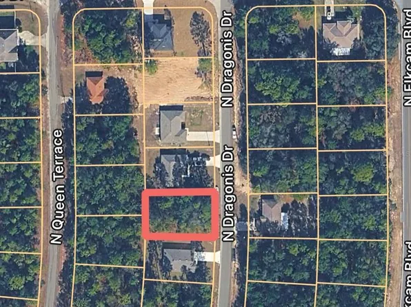 10924 N Dragonis Dr Lot 11, Dunnellon, FL 34433