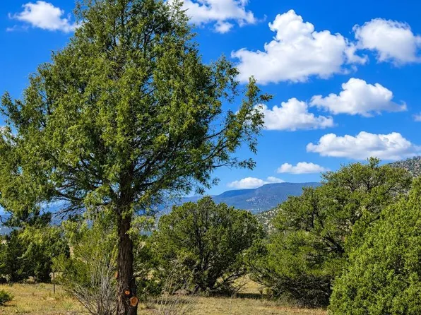 4055 Bear Creek Circle, South Fork, CO 81154