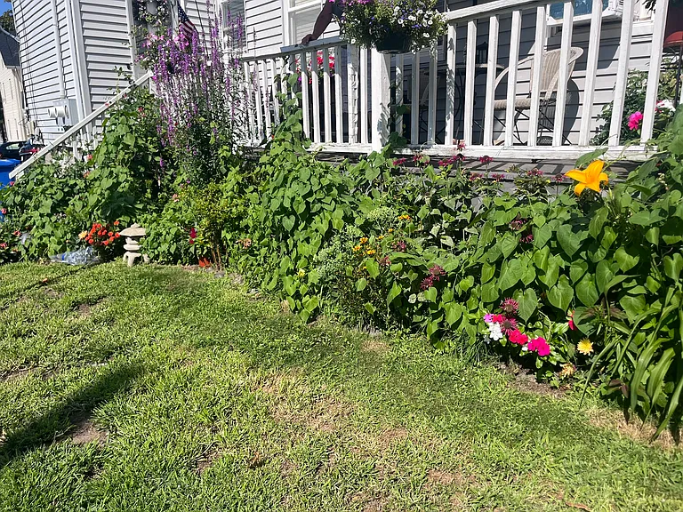 beautiful garden