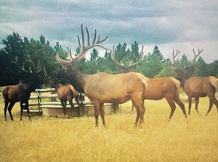 Nhn Rd, Custer, MT 59024