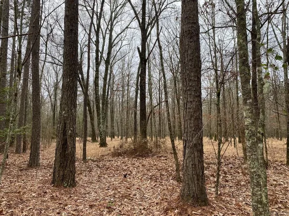 Bradley 114 Rd, Hermitage, AR 71647