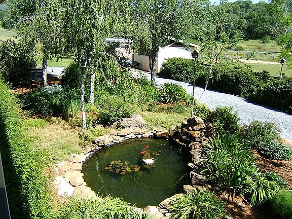 Koi Pond