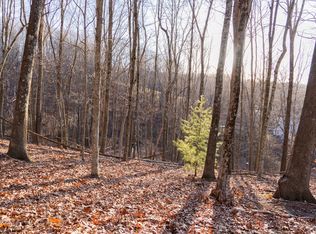 0 Addison Patch Rd LOT WP001, Hot Springs, VA 24445
