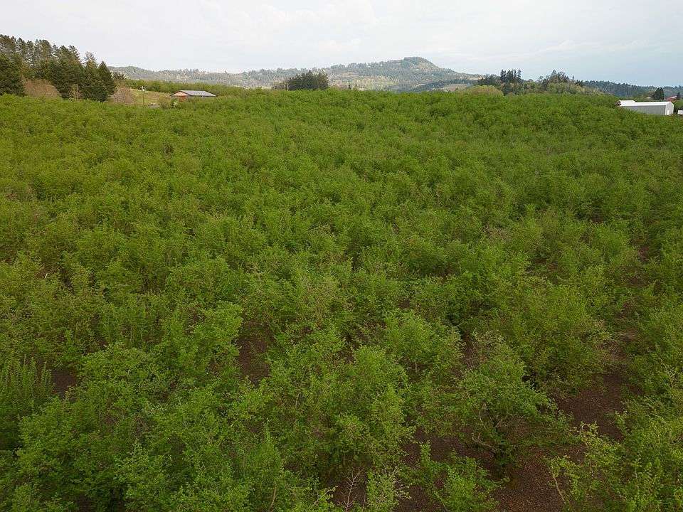 42680 SW Gaston Rd, Gaston, OR 97119 MLS 23051545 Zillow