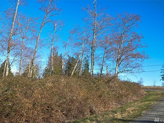 4th image of 87 Semiahmoo Dr